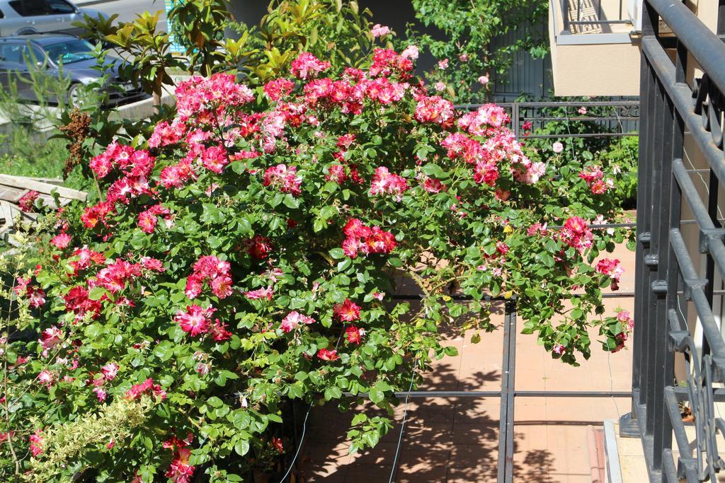Flowers Apartments Nessebar Eksteriør billede